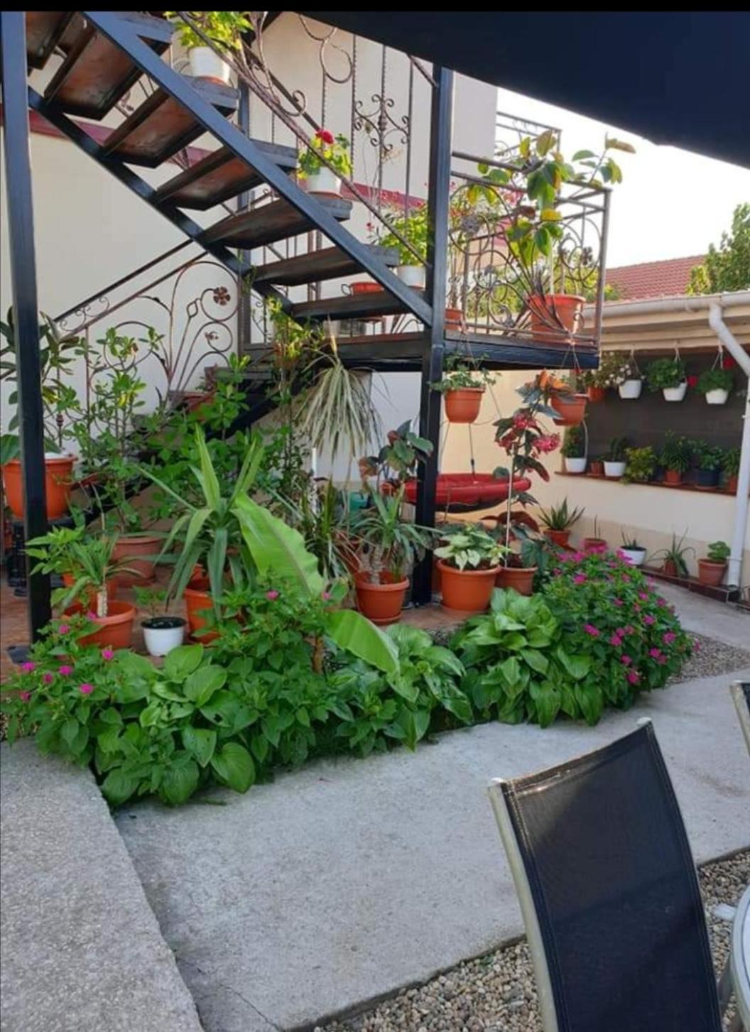 Vila Robert Hotel Schitu Luaran gambar