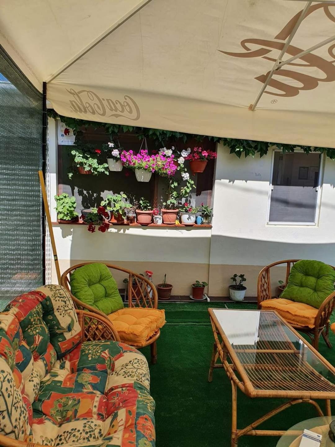 Vila Robert Hotel Schitu Luaran gambar