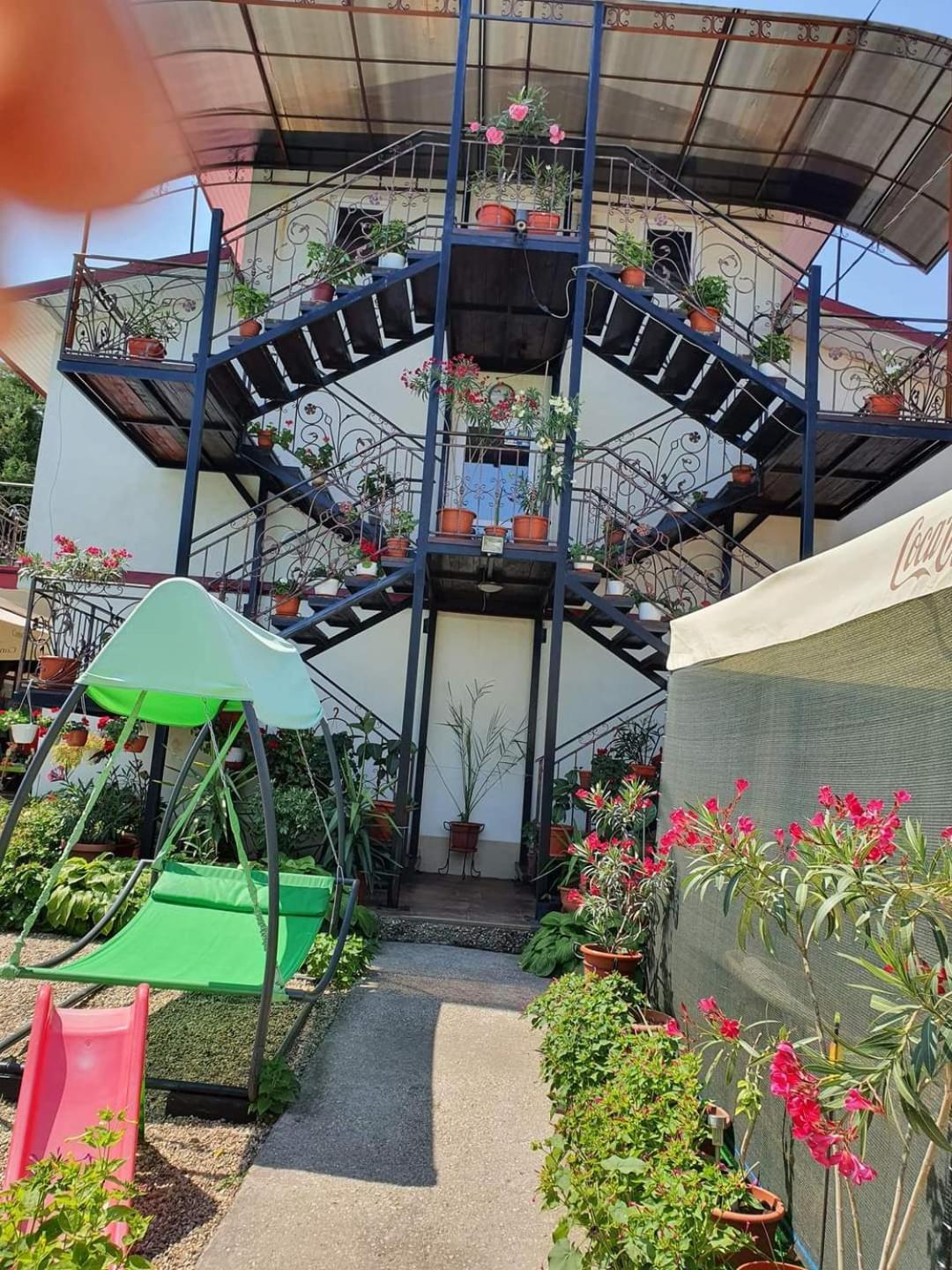Vila Robert Hotel Schitu Luaran gambar
