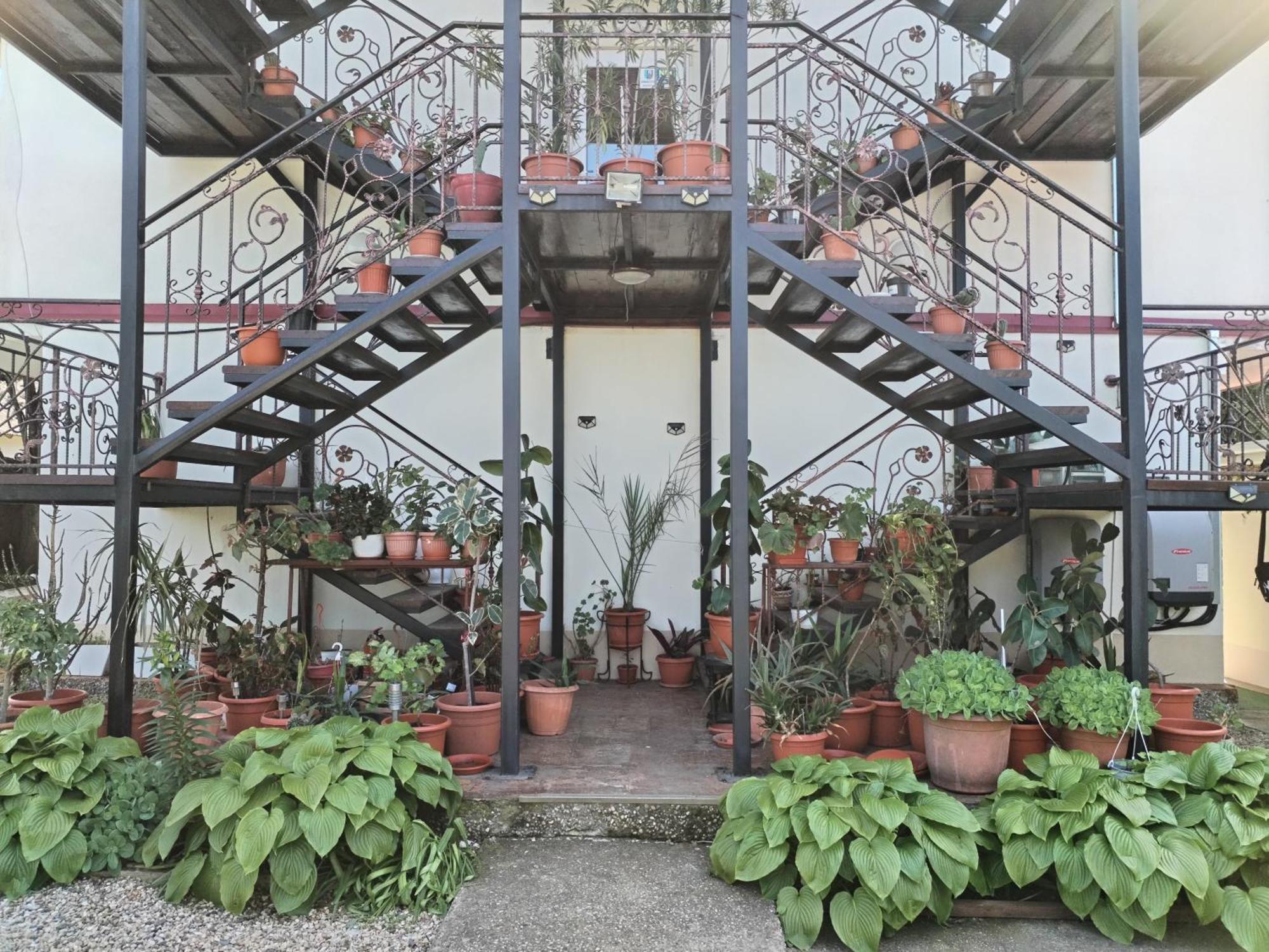 Vila Robert Hotel Schitu Luaran gambar