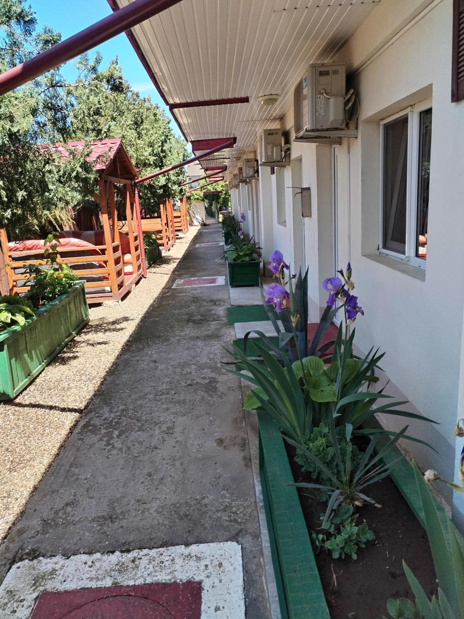 Vila Robert Hotel Schitu Luaran gambar